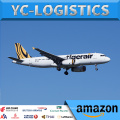 Shipping Amazon FBA Air Freight Forwarder to Italy France USA